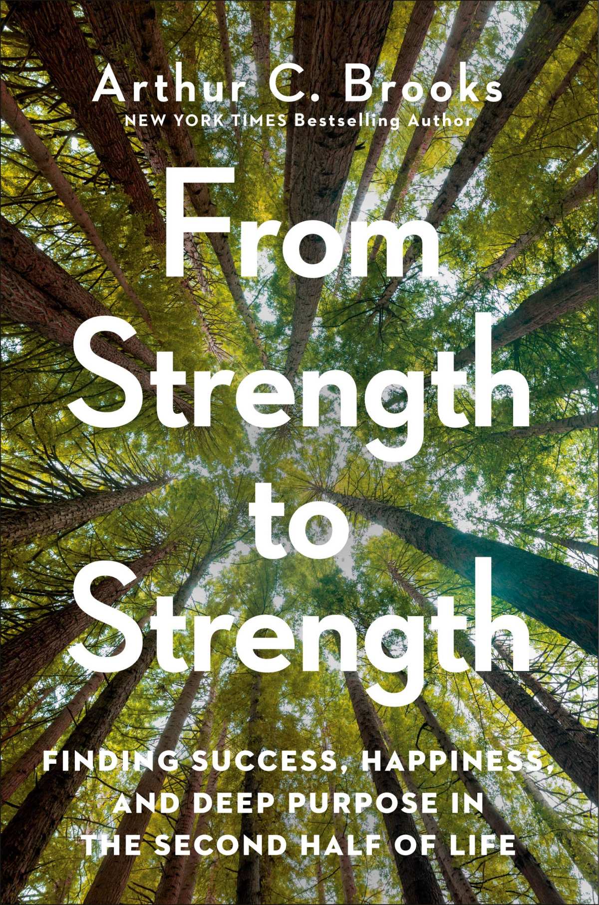 strength-to-strength